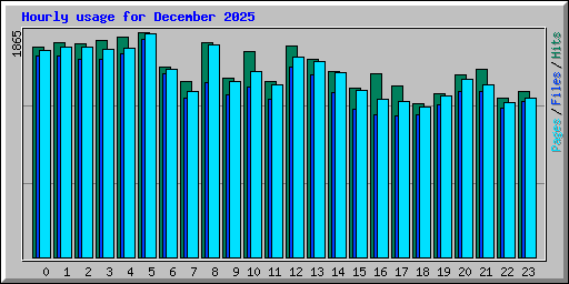 Hourly usage for December 2025