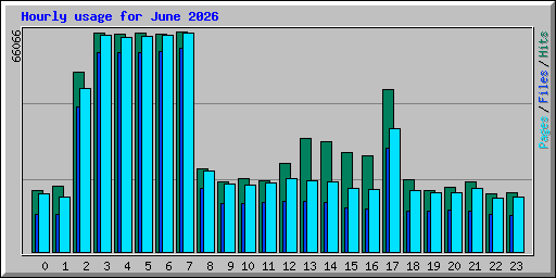 Hourly usage for June 2026
